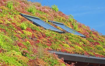 Blackney living roof systems