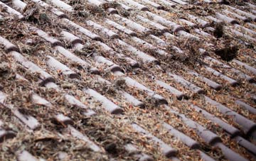 Blackney roof cleaning companies